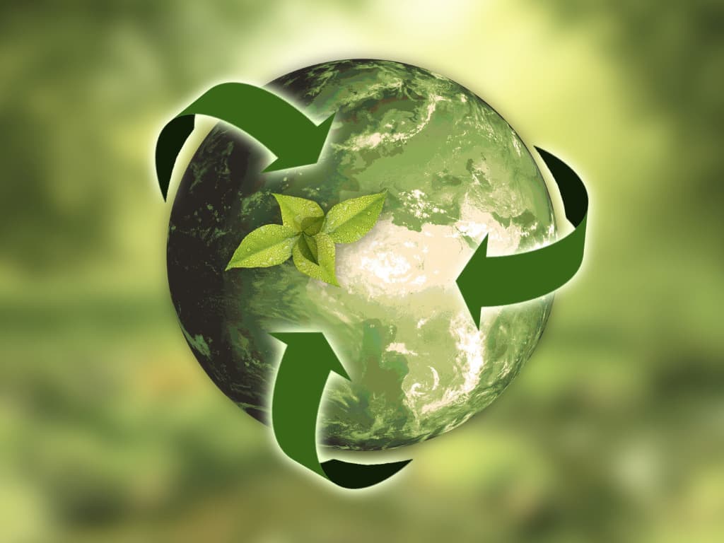 Sustainable Food Choices That Protect the Planet