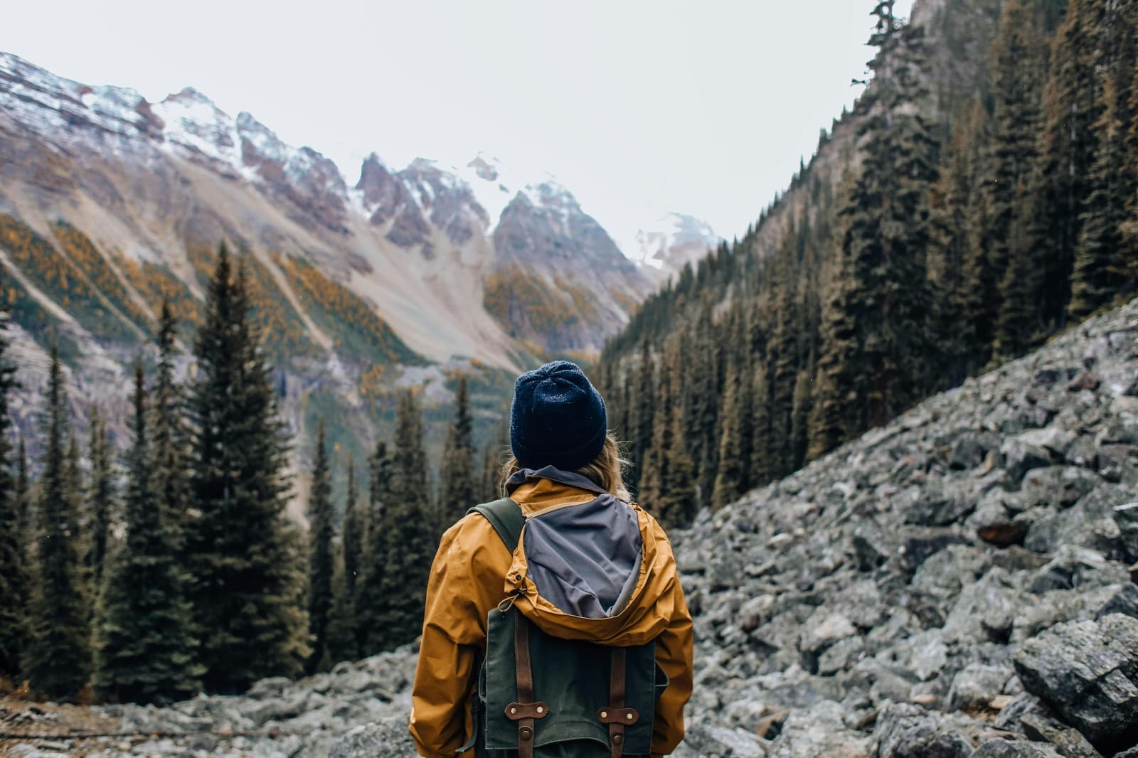 Explore Cool Walking Trails Near Me for Peaceful Outdoor Time
