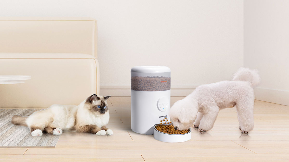 Optimize Your Pet's Feeding Routine with the WOPET Automatic Pet Feeder
