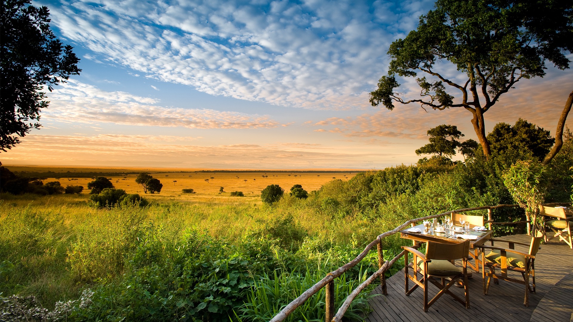 Discover the Essence of a South African Safari