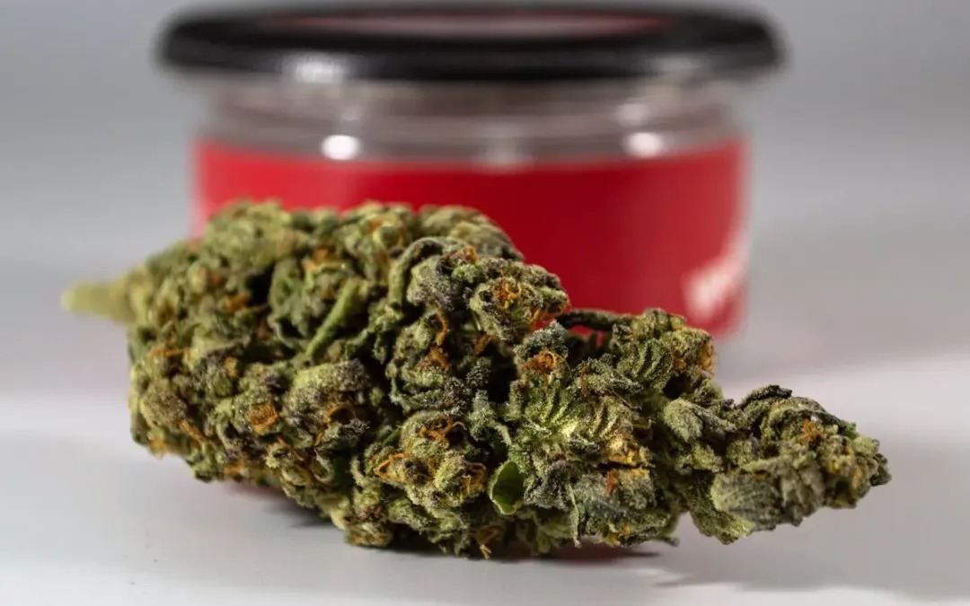 Albino Penis Envy Mushrooms Special Edition at Bud Cargo – Strong & Fresh