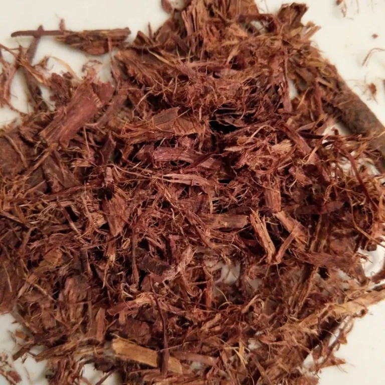 mimosa-tenuiflora-syn-mimosa-hostilis-jurema-tepezcohuite-dried-root-bark-2-scaled