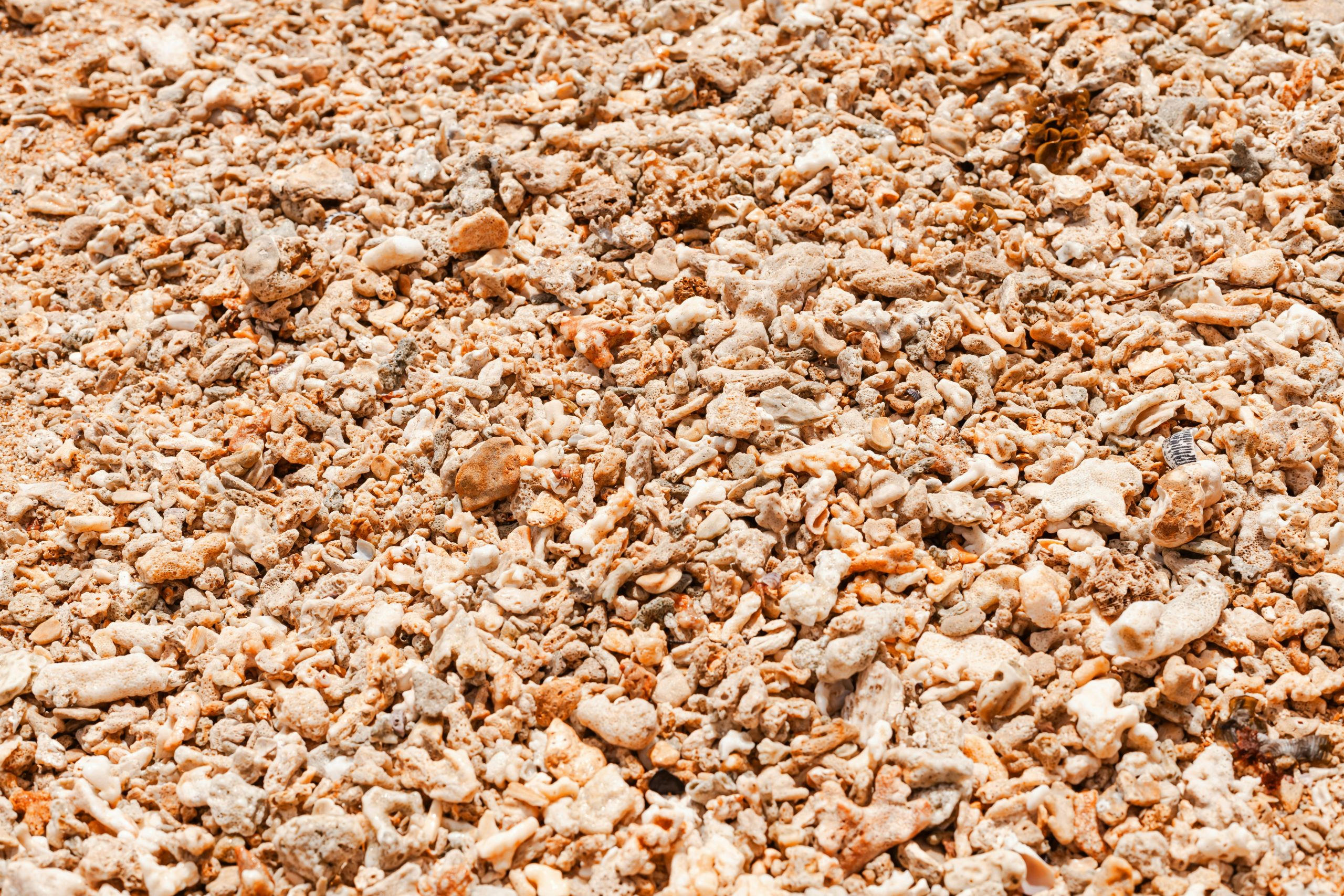Trusted Wood Chips Supplier Greece for Reliable Bulk Orders
